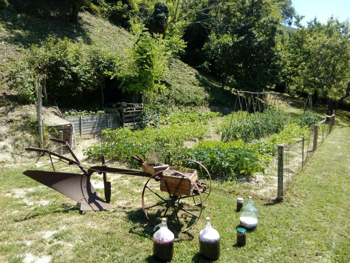 Bed & Breakfast Sentiero 54 Cantiano Buitenkant foto