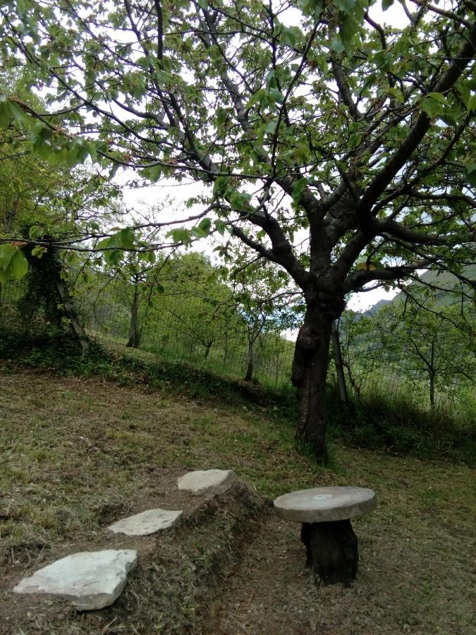 Bed & Breakfast Sentiero 54 Cantiano Buitenkant foto